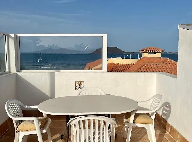 Albergue Pura Vida Surf House