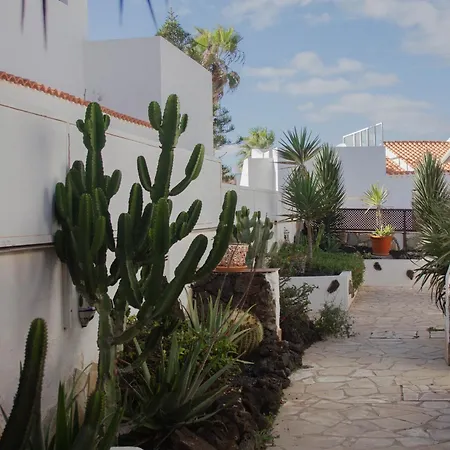 Pura Vida Surf Camp & School Hostel La Oliva