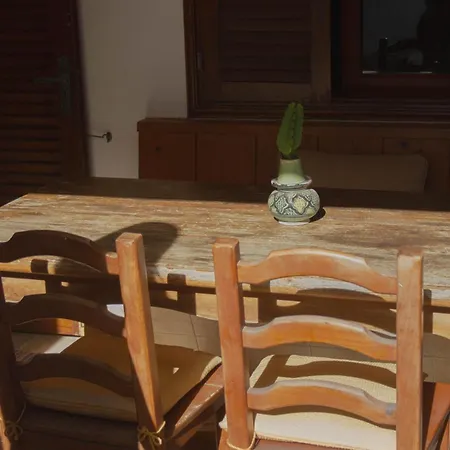 Pura Vida Surf House Albergue La Oliva