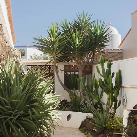 Pura Vida Surf Camp & School Hostel