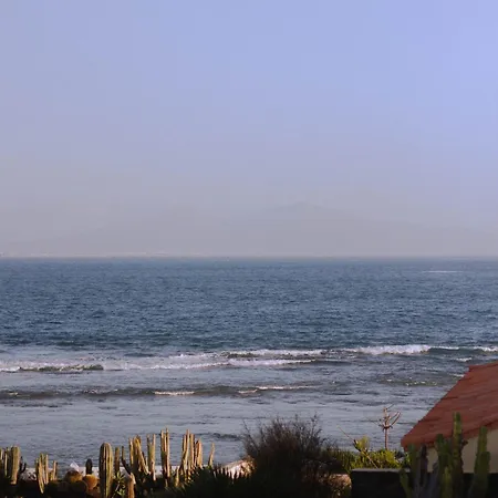 אכסניה Pura Vida Surf Camp & School